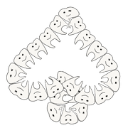 124