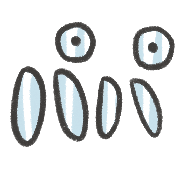 032