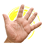005