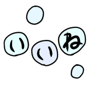 003