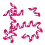 005