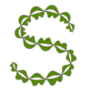 019