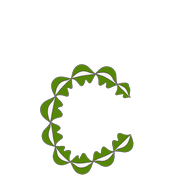 029