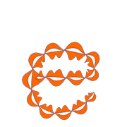 031
