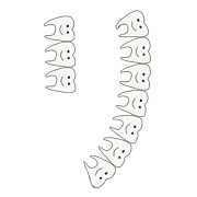 120