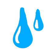 006