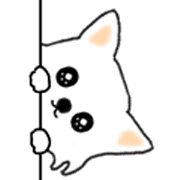 023