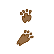082
