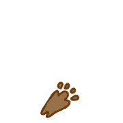 084