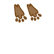 118