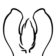 034