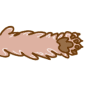 161