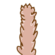 170