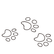 026