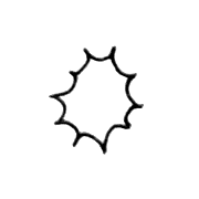 026
