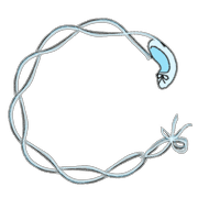 003