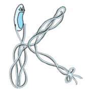 011
