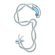 033