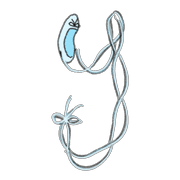 051