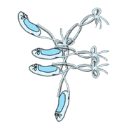 091