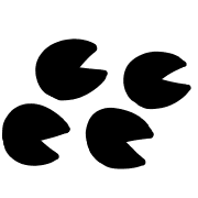 040