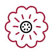 005