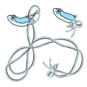 005