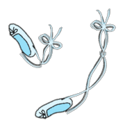095