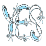 170