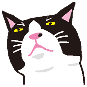 007