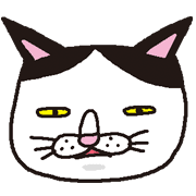008