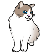 016