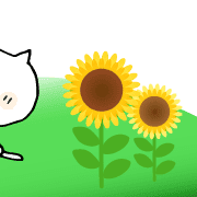 009