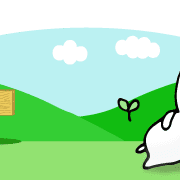 029