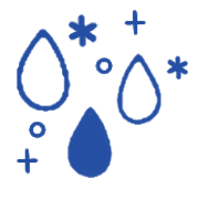019
