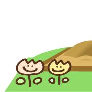 031