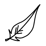 016