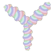 025