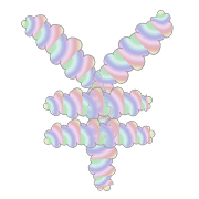 091