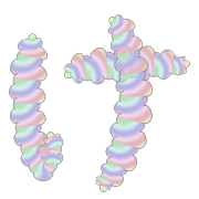009