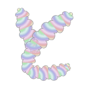 020