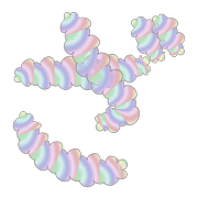061