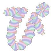 077