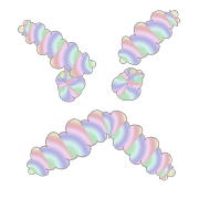 185