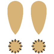 036
