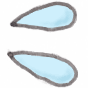 006