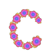 029