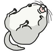 015