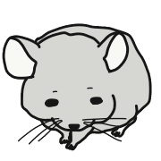 019