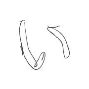 002